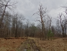 IMG 20210501 120205.jpg