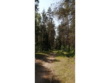 IMG 20210529 105906.jpg