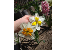 IMG 20180513 125830.jpg