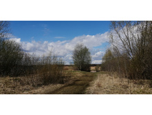 IMG 20210501 104006.jpg