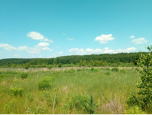 20210620 �� ������-������� 122812.jpg