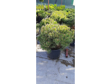 ����������� viber 2021-06-02 13-13-41.jpg