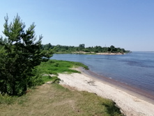 IMG 20210620 140632.jpg