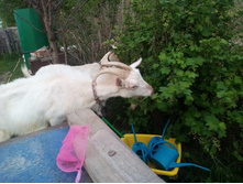 IMG 20210515 195855 — �����.jpg