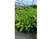 ����������� viber 2021-06-03 10-06-06.jpg