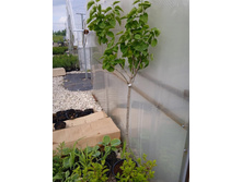 ����������� viber 2021-06-09 16-46-55.jpg