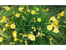 �������� ���� ������.jpg