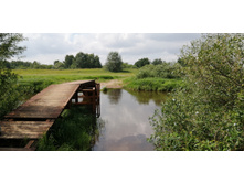 IMG 20210629 110259.jpg