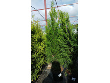 ����������� viber 2021-06-02 13-17-44.jpg