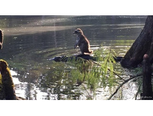 ������, ������ �����!