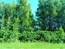 20210619 ��� ������ ����� 100856.jpg