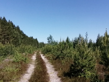 IMG 20210605 114638.jpg