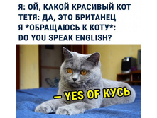 � - ��, ����� �������� ��� ���� - ��, ��� ��������. �(��������� � ����) - do you speak english? ��� - yes of ����.