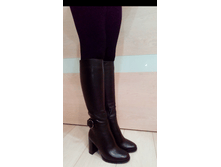 �������� ���� ���