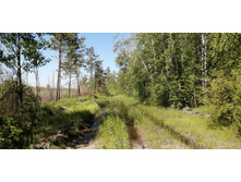 IMG 20210605 093516.jpg