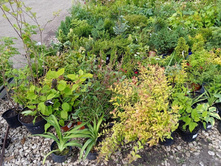 ����������� viber 2021-06-09 16-49-10.jpg