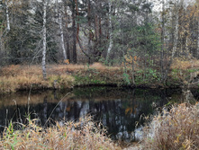 20201010 141408.jpg