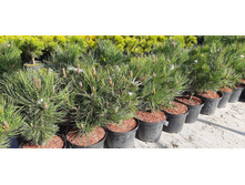 ����������� viber 2021-06-02 13-13-20.jpg