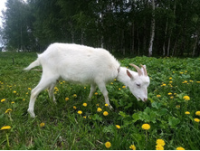 IMG 20210521 112719 — ����� — �����.jpg