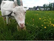 IMG 20210521 122606 1 — �����.jpg