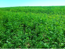 20210619 ��� ������ ����� 104252.jpg