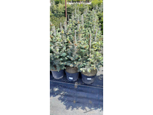 ����������� viber 2021-06-02 13-14-56.jpg