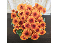 ���������� �������.jpg