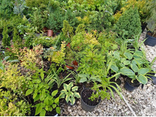 ����������� viber 2021-06-09 16-48-49.jpg