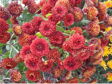 ���������� ��������� �����.jpg