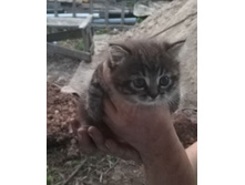 IMG 20210627 211845.jpg