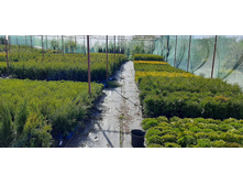 ����������� viber 2021-06-02 13-15-29.jpg