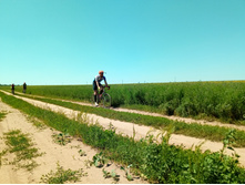 20210619 ��� ������ ����� 125206.jpg