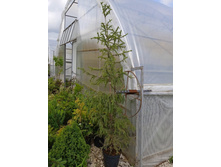 ����������� viber 2021-06-09 16-48-37.jpg