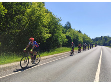 IMG 20210619 112620-01.jpeg