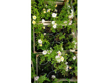 ����������� viber 2021-06-03 10-08-18.jpg