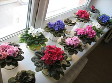 �������� ������