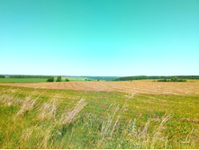 20210619 ��� ������ ����� 110927.jpg