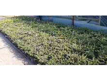 ����������� viber 2021-06-02 13-12-41.jpg