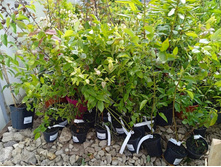 ����������� viber 2021-06-09 16-47-59.jpg