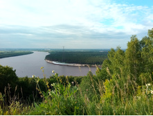 20210605 �� �������� ������ ��� 172832.jpg