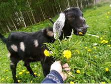 IMG 20210521 112917 — ����� — �����.jpg