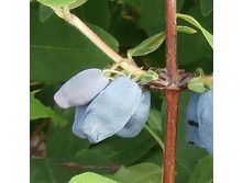 ��������� ����������-23.jpg