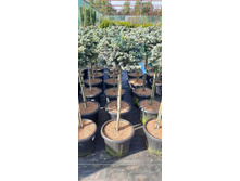 ����������� viber 2021-06-02 13-14-11.jpg