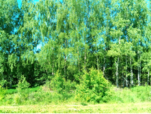 20210619 ��� ������ ����� 091037.jpg