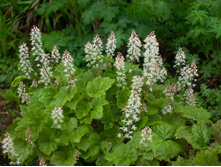 �������� �������������.jpg