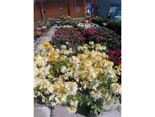 ����������� viber 2021-06-02 13-11-27.jpg