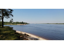 IMG 20210620 140115.jpg