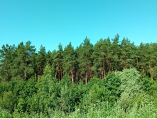 20210619 ��� ������ ����� 082603.jpg