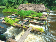 20210627 ��ͣ������� ���� 5 105301.jpg