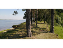 IMG 20210620 140948.jpg